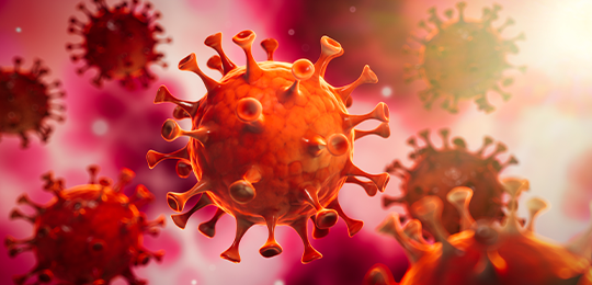 Virus